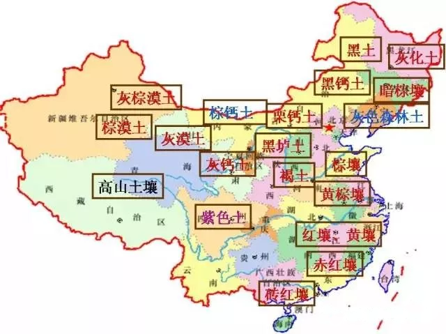 WG电子(中国区) - 官方网站