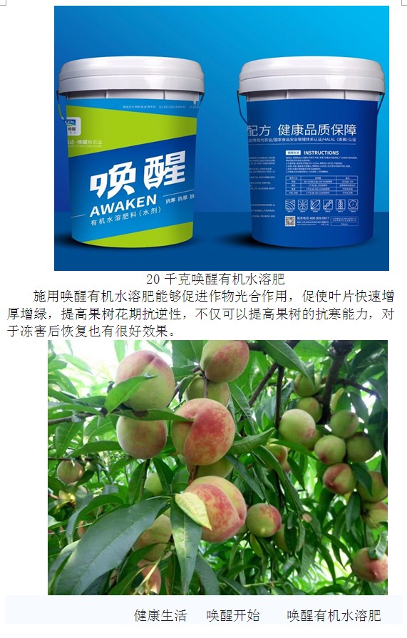 WG电子(中国区) - 官方网站