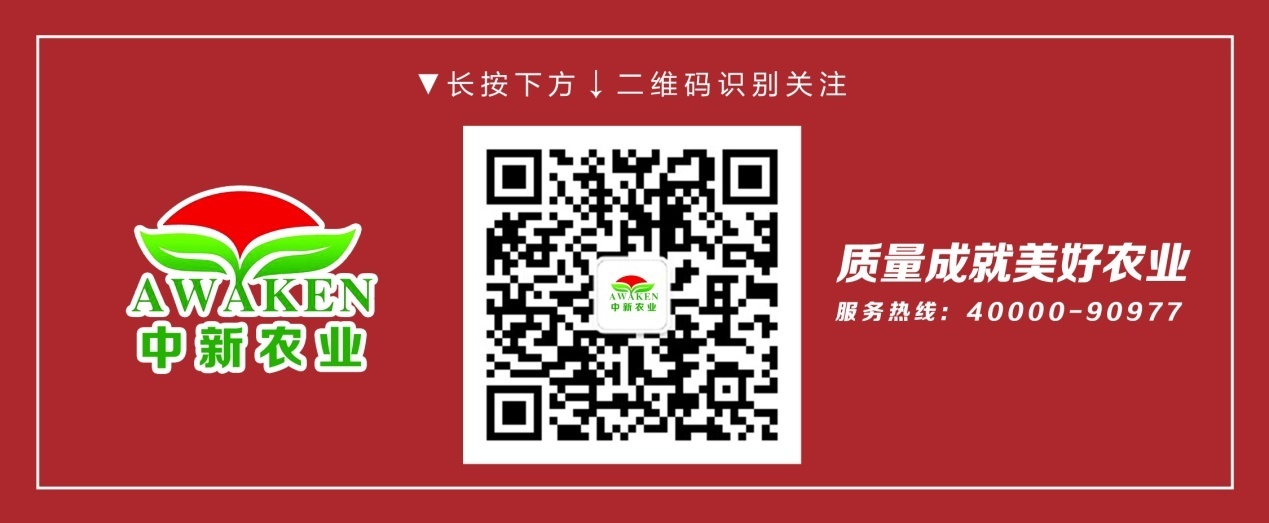 WG电子(中国区) - 官方网站
