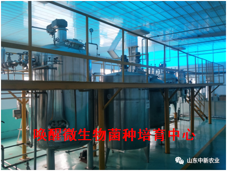 WG电子(中国区) - 官方网站