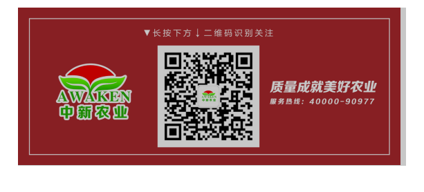 WG电子(中国区) - 官方网站