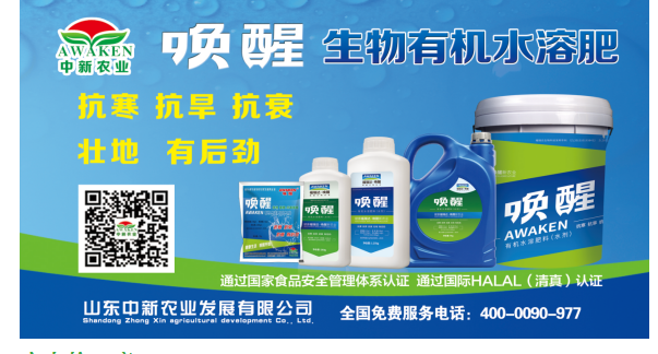 唤醒有机水溶肥为您的小麦丰登保驾护航