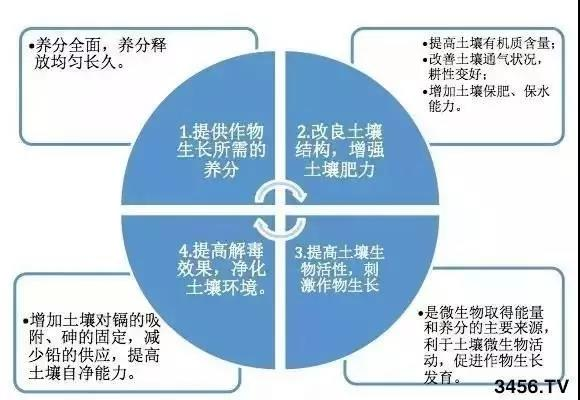 WG电子(中国区) - 官方网站