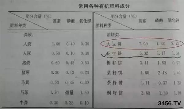 WG电子(中国区) - 官方网站