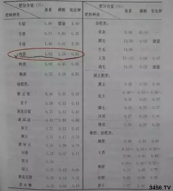 WG电子(中国区) - 官方网站